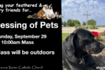 Blessing of Pets